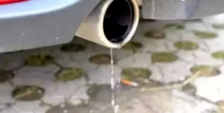 好车的排气管才滴水？