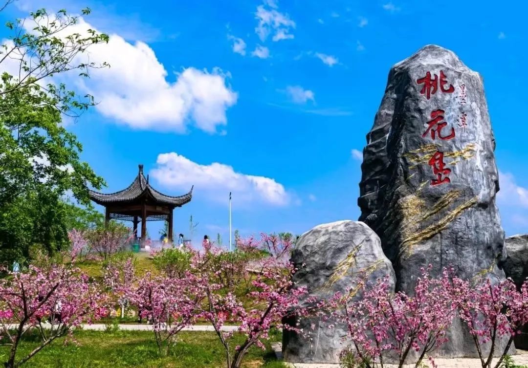 惠享文旅·燃动四季｜@全球学子，桃花岛邀您来畅游！