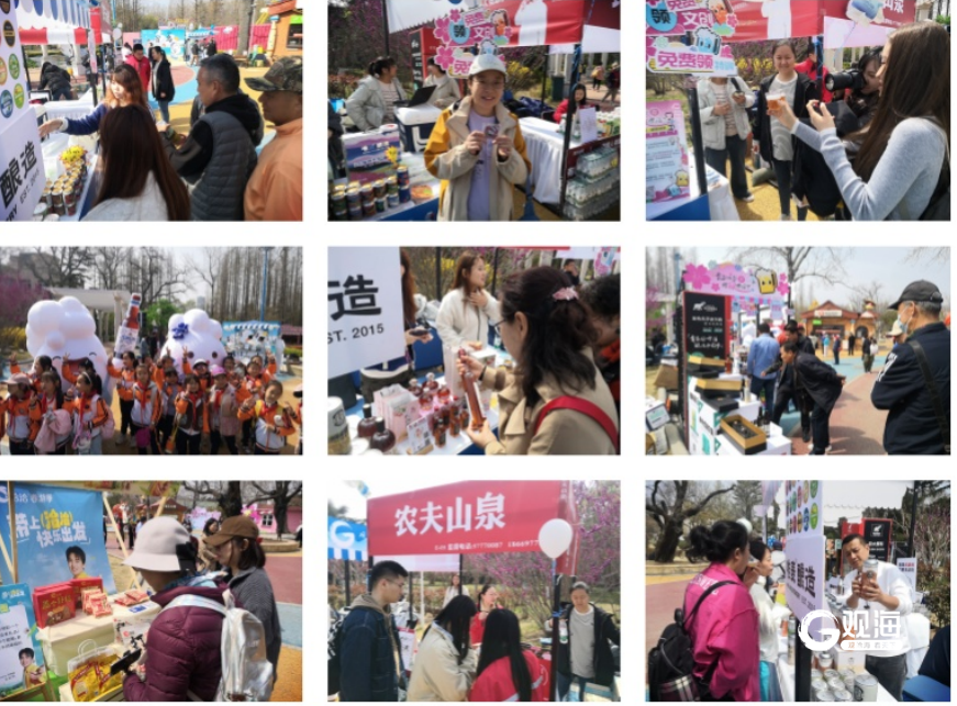 2025青岛四季精酿啤酒节·春季限定场成功举办，樱花与精酿共酿春日盛宴