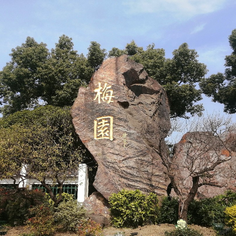 文化踪影