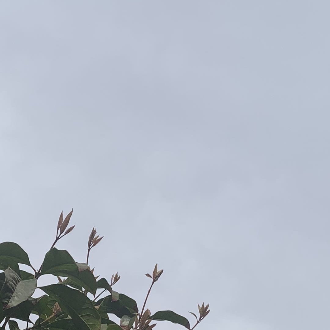 邃渺极致