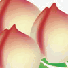 回望208187425
