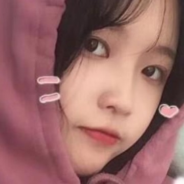 Ly小蚂蚁