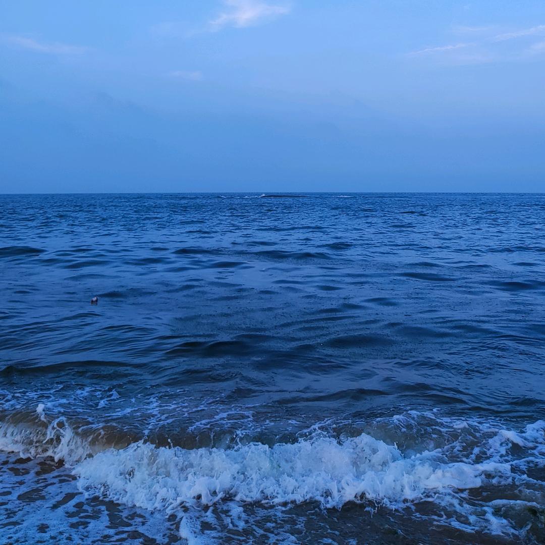 海浪VIP