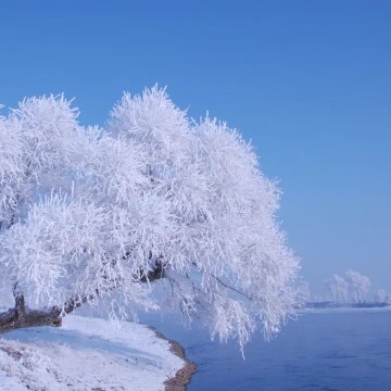 翔宇