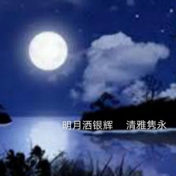 明月洒银辉