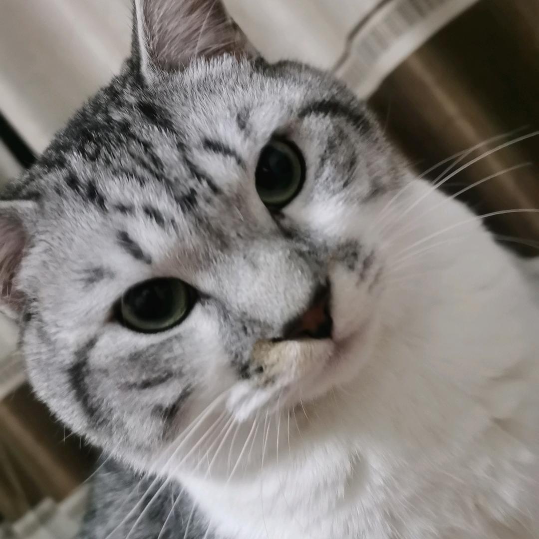 开心的清新阳光