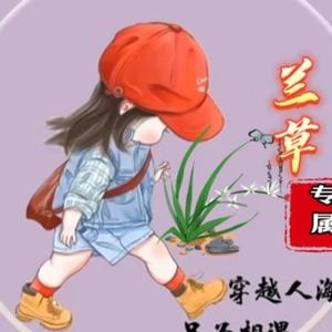 魔法兰草