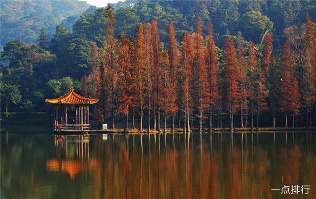四大佛山旅游风景区，佛山五大景点（逢简水乡堪称岭南水乡第一绝）