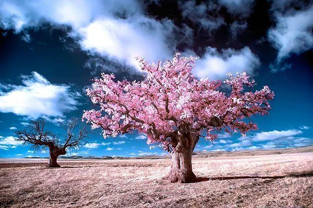 母亲节贺卡内容，生日贺卡制作简单漂亮（母亲节贺卡祝福语）