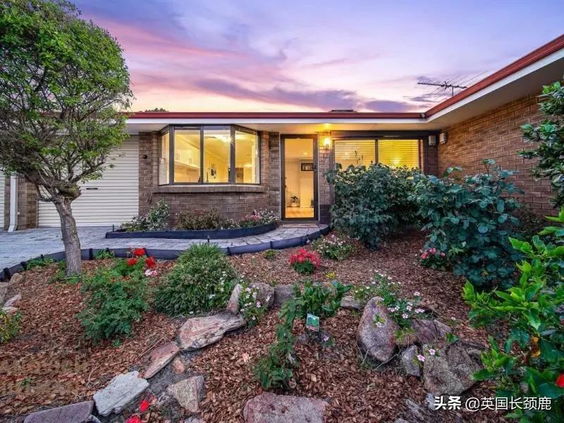 village是什么意思,village是什么意思中文