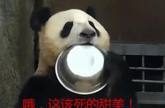 食铁兽是谁的坐骑，熊猫食铁兽是谁的坐骑（蚩尤兵败是大熊猫拖了后腿）