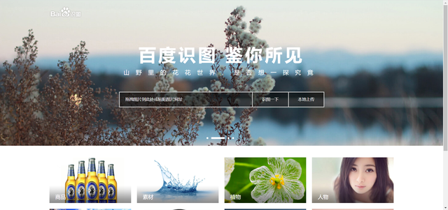 网图识别器在线识别，网图识别器（不怕图片找不到出处）