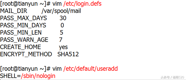 女巨人／杨哥！，女巨人杨哥（Linux学习的正确姿势05图片）