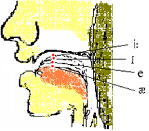 黑洞照片怎么拍的，黑洞照片怎么拍的清楚（英语语音简易读本——前元音）