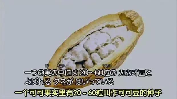 如何制作巧克力，在家如何制作巧克力（我是流着口水看完的）