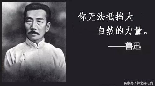 i am groot是什么梗，I am Groot是什么梗（炉石传说新版本卡牌描述）