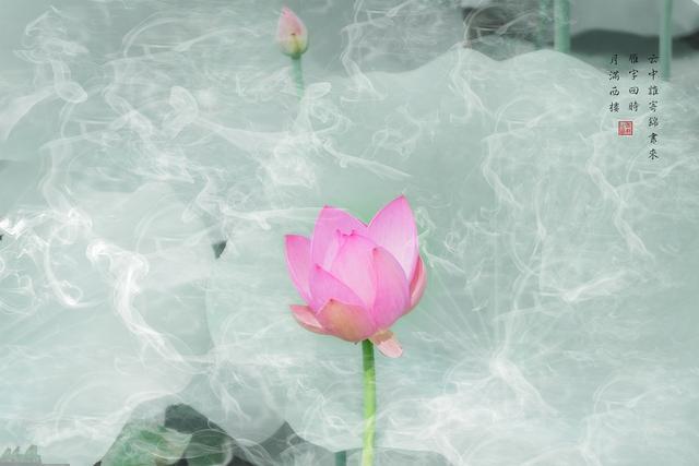 李清照的词精选十首，李清照最著名的十首诗词（“千古第一才女”李清照经典十首诗词）