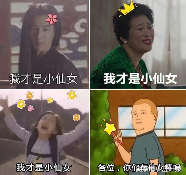 美眉是什么意思，美眉什么意思（来这里看最多的时髦流行女性称谓）