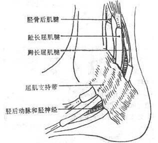 腰突脚麻恢复方法，腰突术后脚麻怎么治疗（脚麻脚痛不都是腰椎间盘突出）
