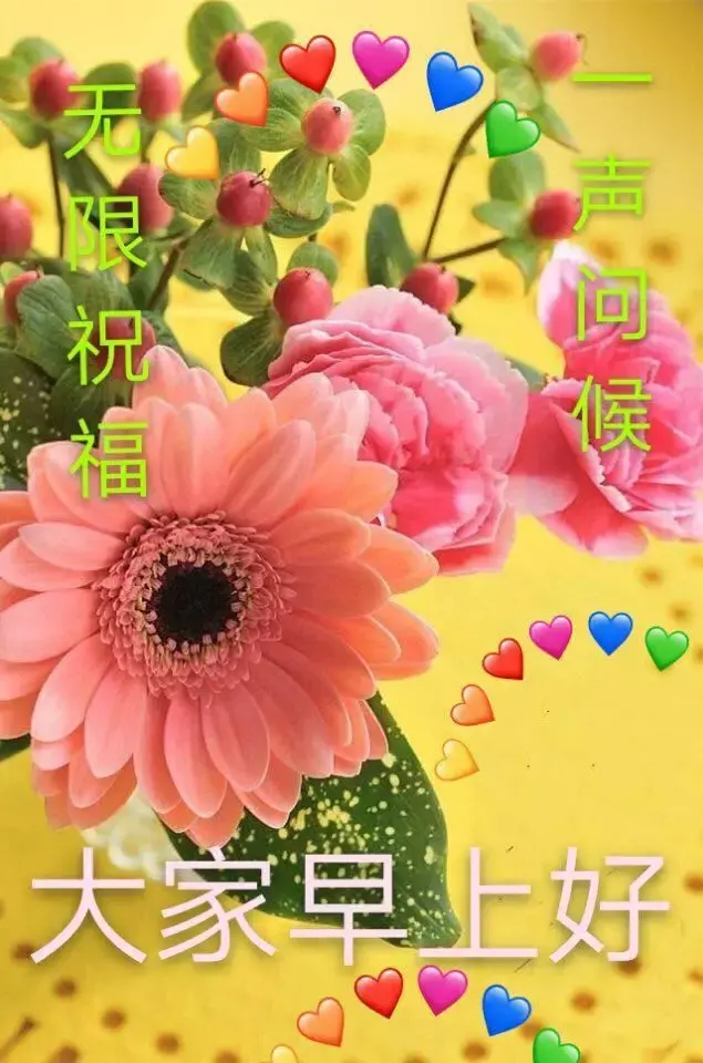 关于问心无愧的语录，问心有愧的句子（努力做好一个问心无愧的自己）