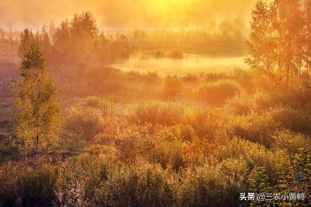 农历10月初一，2022年10月入宅黄道吉日（晴好天气有什么预兆）