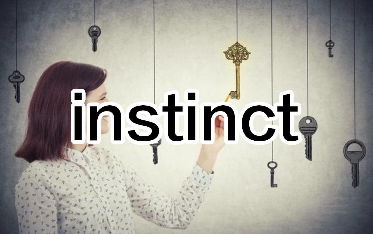 seek是什么意思「seek是什么意思英语」-寅森速头条