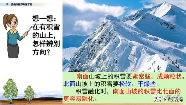 野外辨别方向的方法有哪些，野外辨认方向的6种方法（二年级下册语文17《要是你在野外迷了路》图文详解及同步练习）