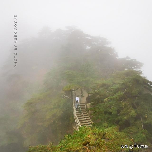 轻烟老树寒鸦什么意思，轻烟老树寒鸦前面一句是什么（不妨跟着“古诗”拍拍看）