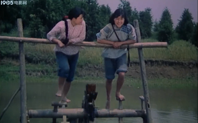 童年第三章主要内容，童年第三章主要内容概括10字（《小花》原著《桐柏英雄》的故事梗概）