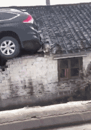 美男们妻主驾到，求轻松搞笑的男主角的小说（哈哈！姑娘需要我帮你训训吗）