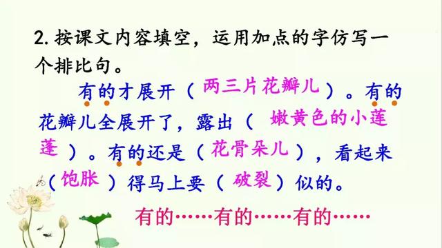 小莲蓬的拼音,的读音是什么(部编版三年级下册 3《荷花》) 小莲蓬的拼音,的读音是什么(部编版三年级下册 3《荷花》)
