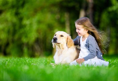 最适合家庭养的小型犬非常好养，盘点十种优秀的家庭犬种