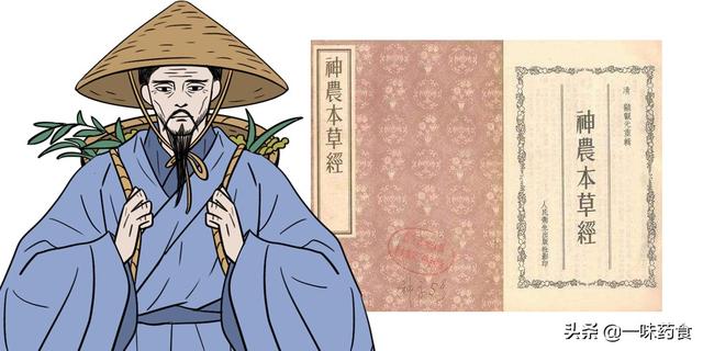 神农本草经作者，本草纲目作者是谁（13条中药理论200种中药至今常用）