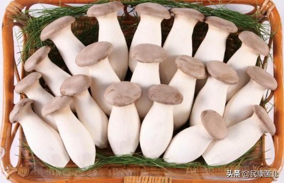 平菇发黄还能吃吗，平菇发黄能吃吗（发黄的杏鲍菇还能吃吗）