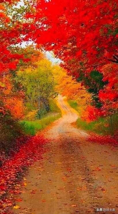 内蒙古人所说的风季是哪个季节，蒙古人的风季是什么季节（中国历史地理常识大全）