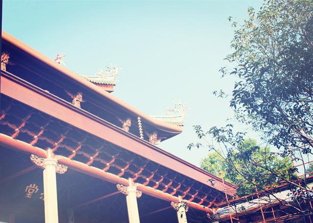 成人高考英语词汇，成人高考英语词汇汇总（近年高考英语完形填空重点高频词大汇总）