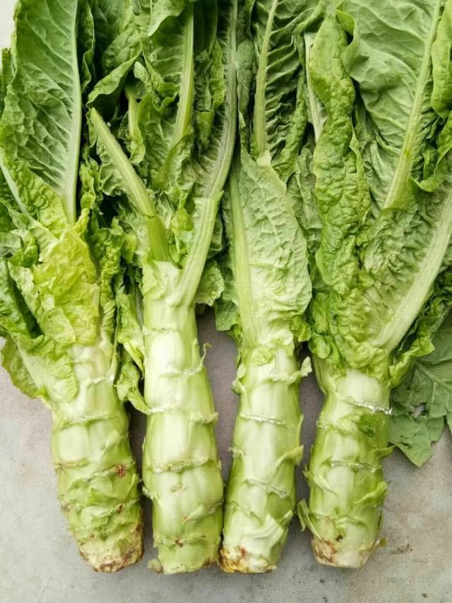 贡菜是什么菜图片，贡菜是什么菜（它与莴笋的区别在哪里）