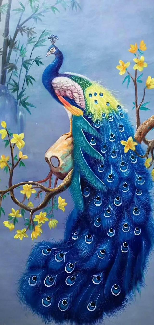 全屏手机壁纸，苹果手机动态壁纸下载 免费 全屏（36张精美无字迹图片）