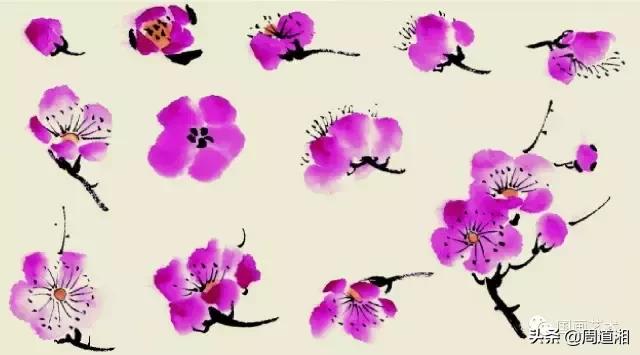梅花13怎么手绘画，教梅花13怎么画（国画入门教程——梅花的画法）