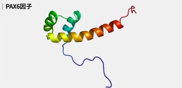 宇宙进化系统，为什么只有人类进化出高度发达的大脑
