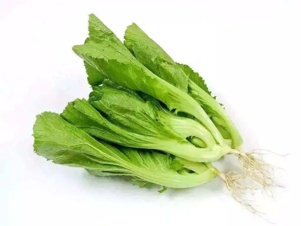 十月芥菜起心广东话是什么意思(十月芥菜 歇后语)-寅森速头条