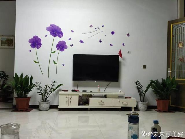 鹅掌柴的作用与功效，鹅掌柴的功效与作用（一养就能养20年）