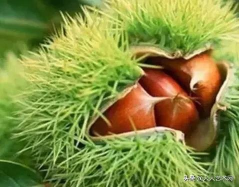 山东诸城的具体资料，诸城百度百科（诸城简历竟然是这样的）