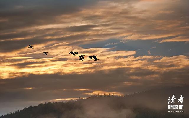 人的一生要过的三个阶段，人生的3个阶段：阅己