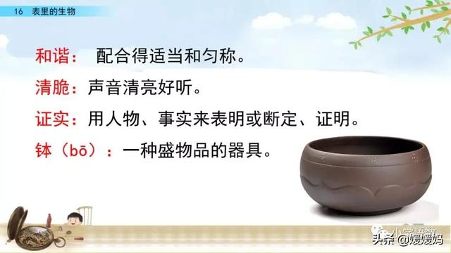 清爽的拼音怎么写,清爽的拼音(六年级下册语文第16课《表里的生物》图文详解及同步练习) 清爽的拼音怎么写,清爽的拼音(六年级下册语文第16课《表里的生物》图文详解及同步练习)