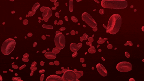 阴虱怎么治疗，阴虱怎么治疗硫磺软膏（30年前男女老少都长虱子）