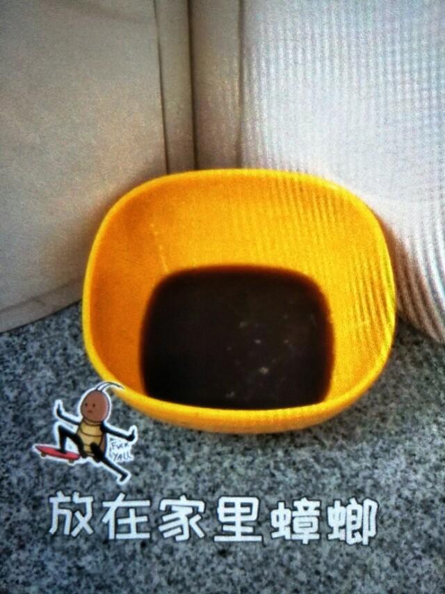 小蟑螂怎么消灭最彻底，蟑螂怎么消灭最彻底（这招安全又有效家人都夸好）