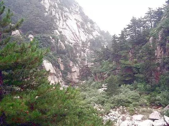 岙怎么读，黍怎么读音什么意思（12个泰安最难认地名、公交站名）