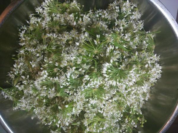韭菜花的腌制方法，韭菜花的腌制方法及步骤视频（这才是韭菜花的正确腌制做法）